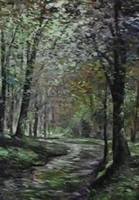 Image of peaceful path through the woods 